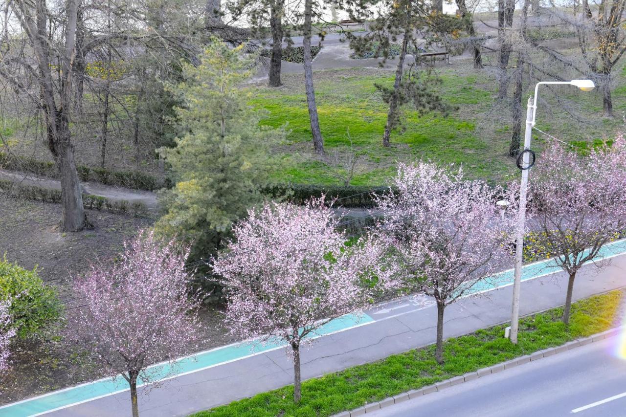 Riverside 1 Timisoara Ngoại thất bức ảnh
